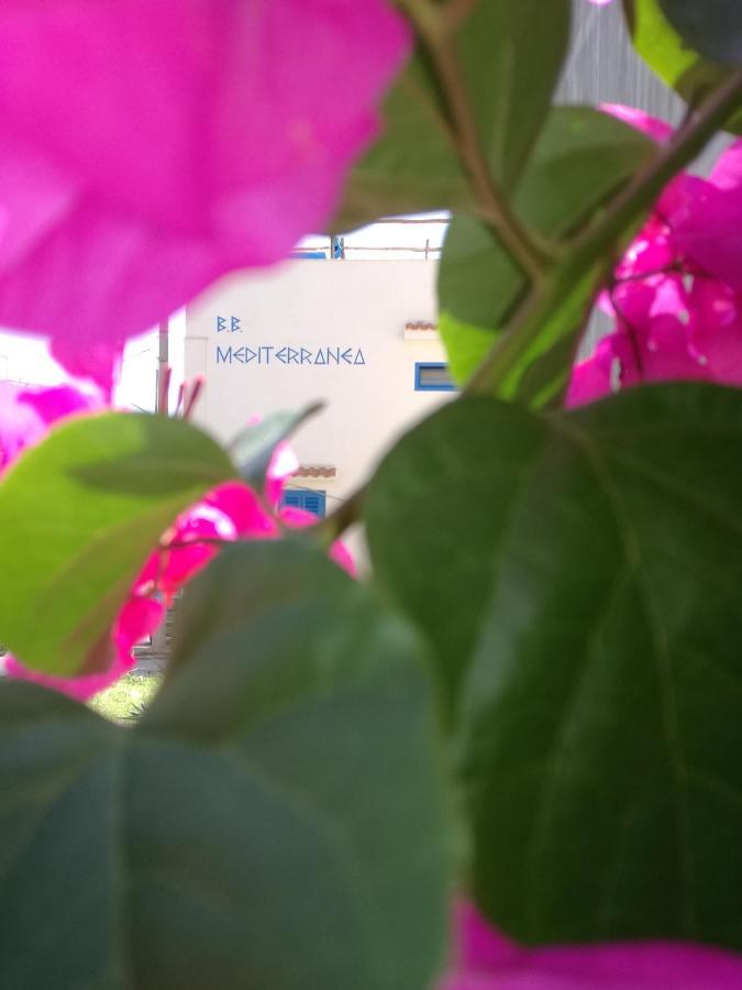 Mediterranea Guesthouse B&B Portopalo Di Capo Passero Zewnętrze zdjęcie